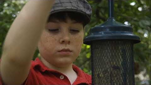 Module 3 Four Clip Edit Assignment