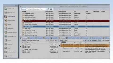 Maximizer CRM 12 Key Features