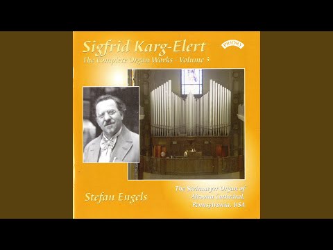 20 Chorale Preludes & Postludes for Organ (Version for Organ) : No. 1, Allein Gott in der Höh