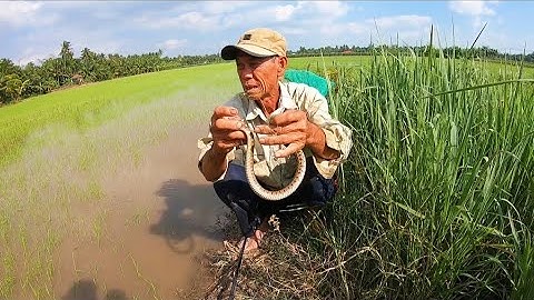 Săn bắt nhiều năm hôm nay mới gặp được cảnh này