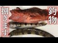 カサゴ、トラギス、ウツボ、捌いてみた