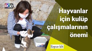 Hayvanlar için kulüp çalışmaların önemi, ihtiyaçları ve daha fazlası #hayvangibi