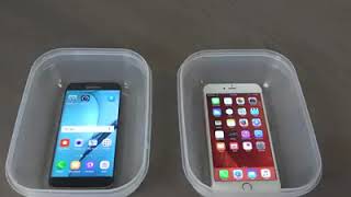 Iphone Vs Samsung Dans Le Coca