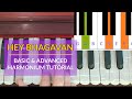 Hey bhagavan  basic  advanced tutorial  harmonium