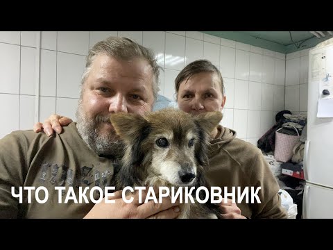 Спасение животных/ Вечер в приюте хвостатое счастье/ Расскажем про стариковник