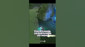 How to Make the Blue Flame trial easier in Hateno Village: Breath of the Wild Tip(Weapon Smuggling)