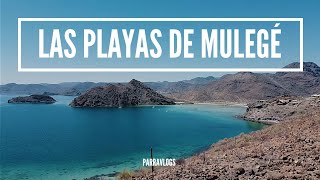 LAS PLAYAS DE MULEGÉ | Bahia Concepción Baja California Sur | La baja roadtrip #3 | PARRAVLOGS