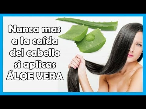 Con este REMEDIO DE ÁLOE VERA EVITARAS LA DEL CABELLO para ✔️💙 - YouTube