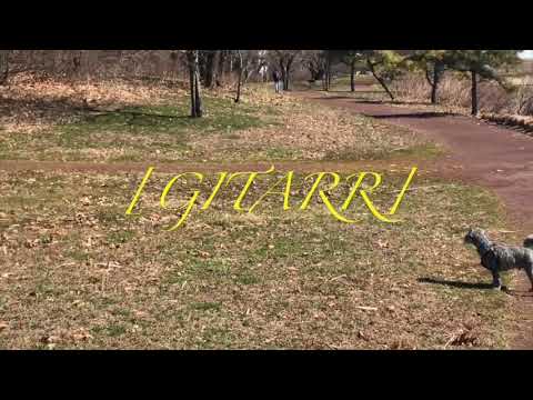 Andrew Cedermark - My Heart (Official Lyric Video)