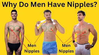 Why Do Men Have Nipples | Why Do Male Have Breasts | BZU Science