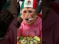 MONO KIBO comiendo AGUACHILE de MÉXICO 🇲🇽 ASMR Picante (Sonidos Refrescantes) #mukbang