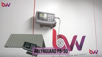 Intrinsically Safe Platform Scales