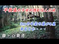 【廃村】平教盛の子孫が隠れ住んだ地 高さ3mに近い平家の墓が4基あるとか・・・ 後編【藤ヶ谷集落・平本集落】