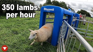 TE PARI Racewell DR3...  First time setup and use!