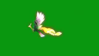 Phoenix Green Screen Video Phoenix Flying Aftereffect Green Screen 4K