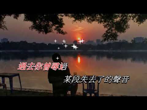 天若有情   袁鳳瑛〈演唱版〉