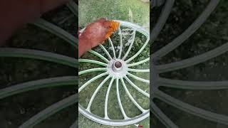 1Old Bike Restoration & Customization | Street Bike to Drag Racing Machine