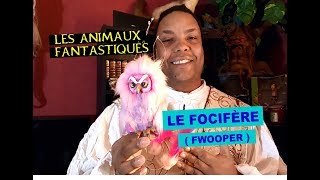 Mes créations Harry Potter : le focifère!  (les animaux fantastiques) + funko pop