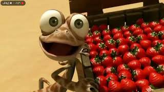 جاكو والطماطم. Jaco