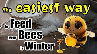 Feeding bees in winter (the simplest and effective)