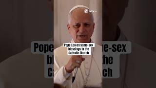 Famous Pope Leo on same-sex blessings in the Catholic Church following German cardinal countroversy Net Worth