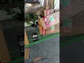 Pengiriman hari ini Jateng ° Jabar ° Jatim, ° dan Kalbar..