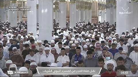 ۞ماتيسر من سورة إبراهيم |فجر يوم ألاثنين 23 محرم 1446هـ |للشيخ أحمد طالب