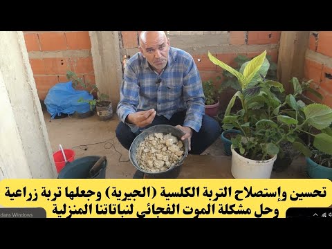 فيديو: تصحيح التربة الطباشيرية - كيفية إصلاح التربة الطباشيرية في الحدائق