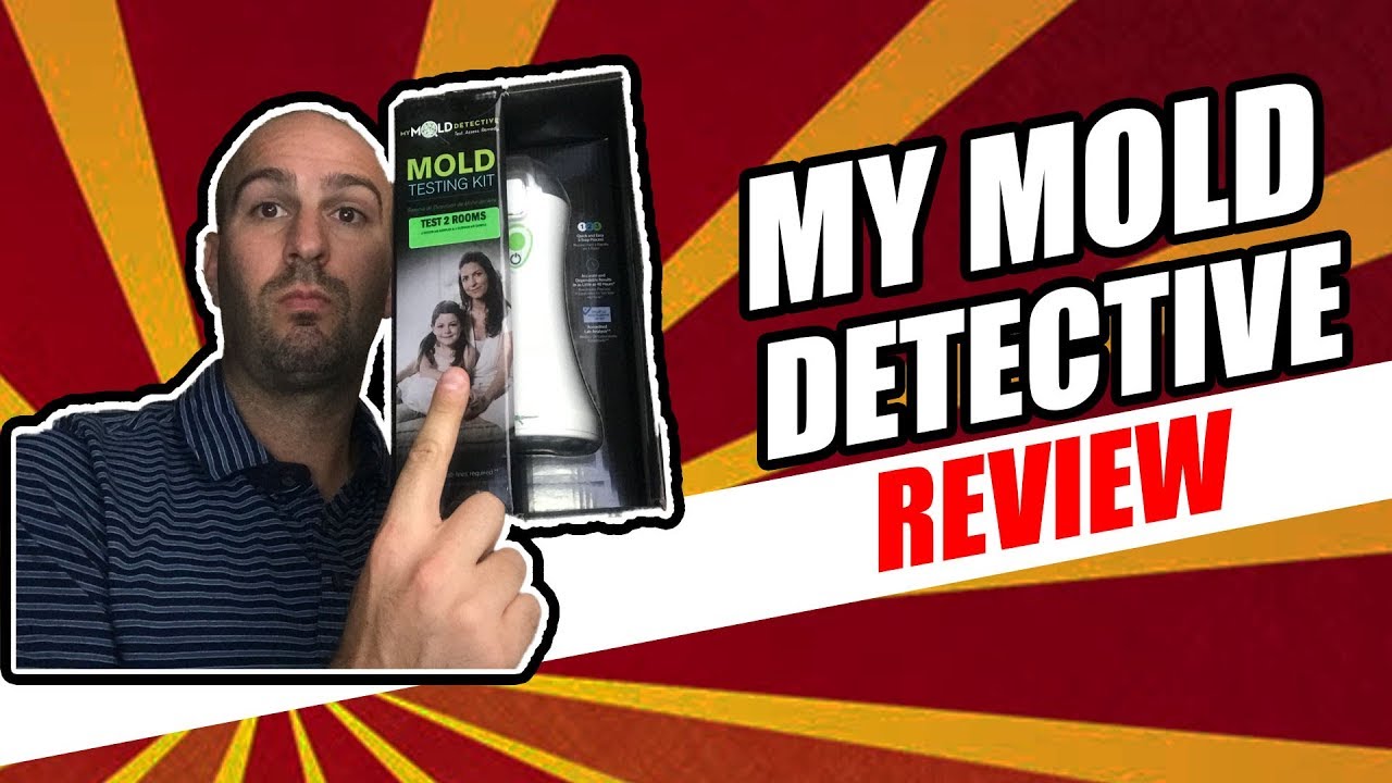 DIY Home Mold Test Kit Review 