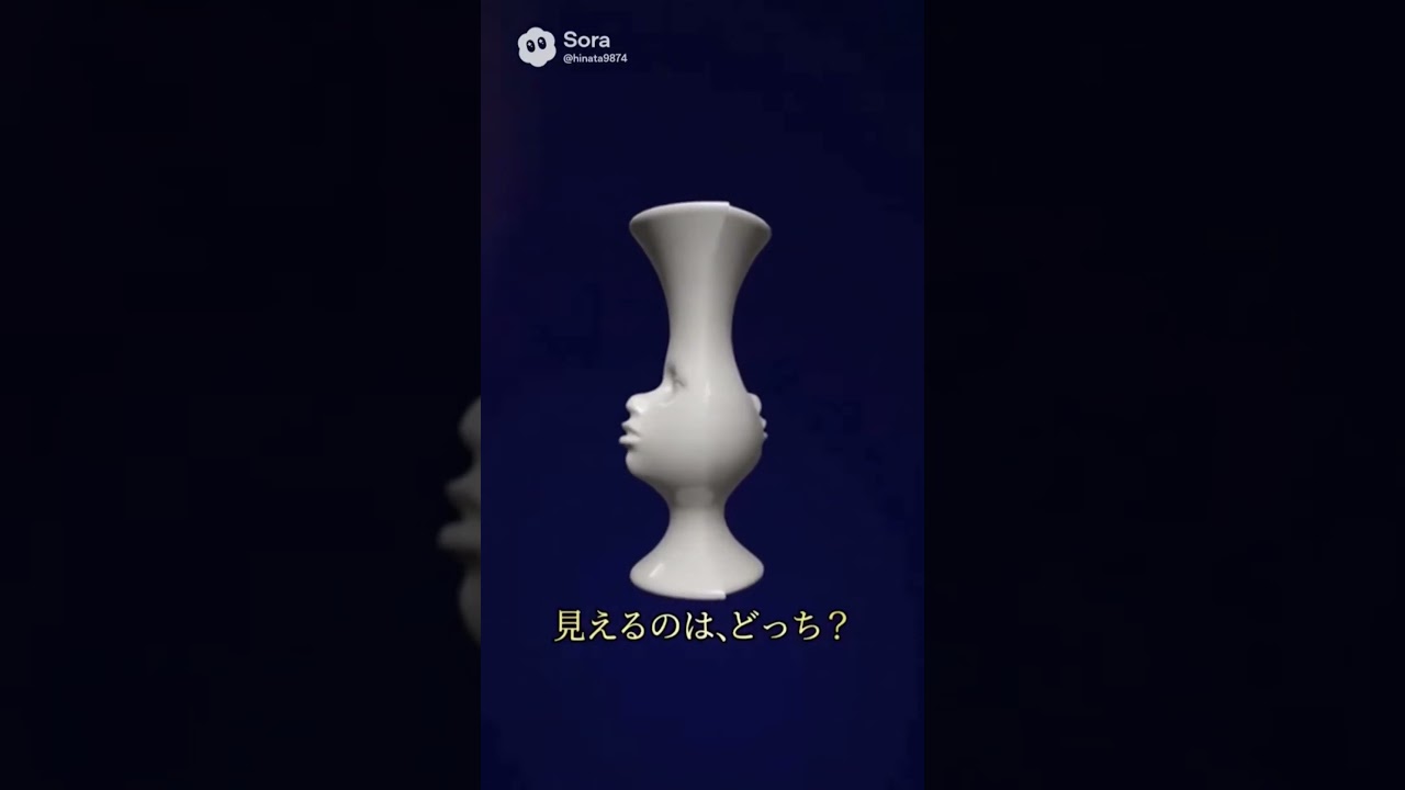 Rubin's Vase! - YouTube