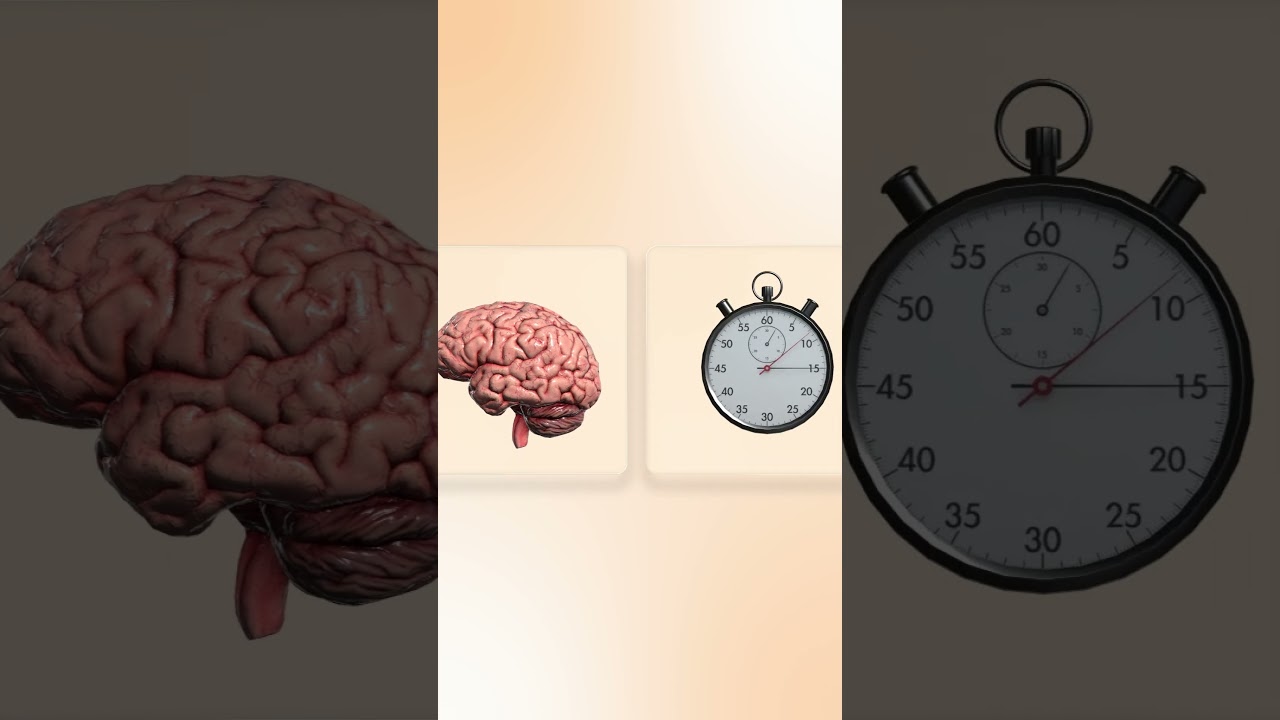 3 essentials every content creator needs