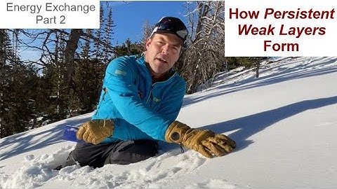 Energy Exchange Part 2 - Formation of Persistent Weak Layers