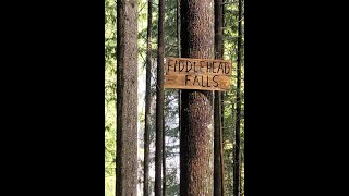 Fiddlehead Falls at 79 Grind