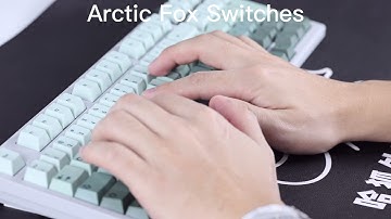 The Arctic Fox Switches
