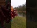 Ammonoids #dinosaur #dinosaurs #dinosaurus #animals #animal #extinctanimals #history #animalshorts