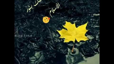 سورة الواقعة للقارئ محمد طه جنيد