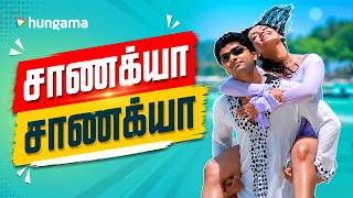 Chanakya Chanakya | Tham | S.T.R. Simbu | Deva Music | Tamil Hits | Hungama South