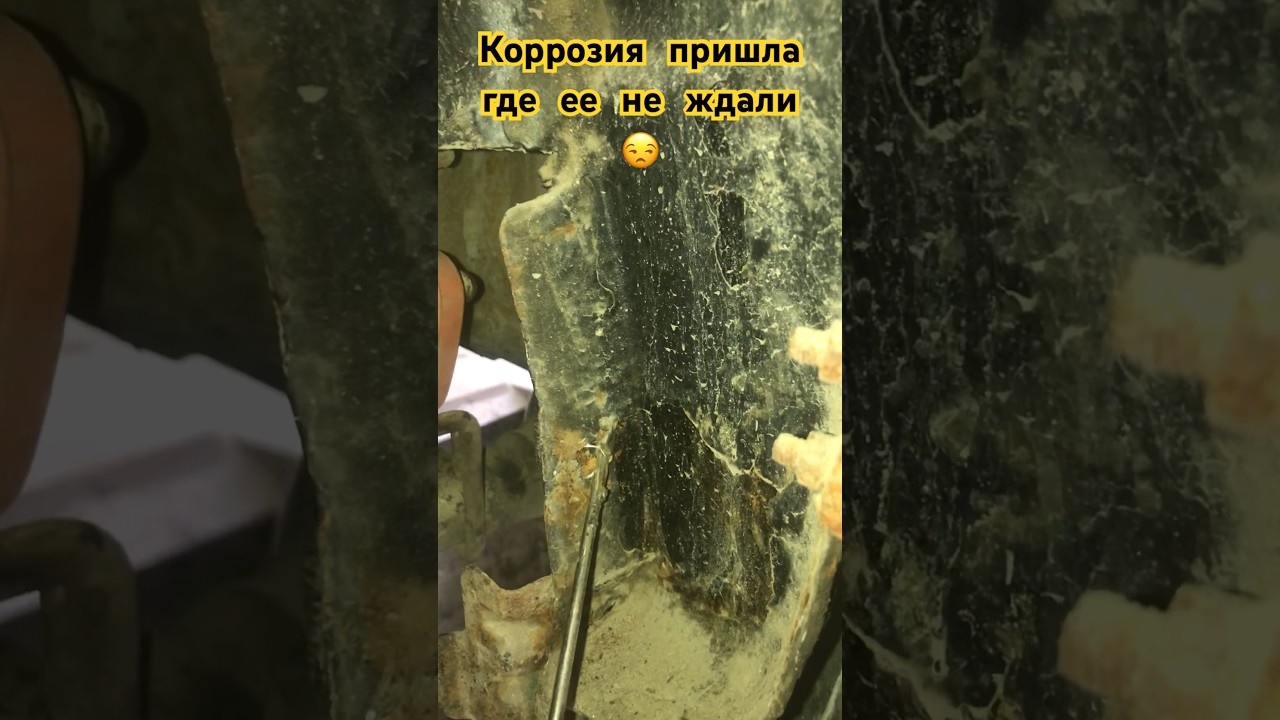 Где часто встречается коррозия на задних арках Саньенг-Актион - YouTube