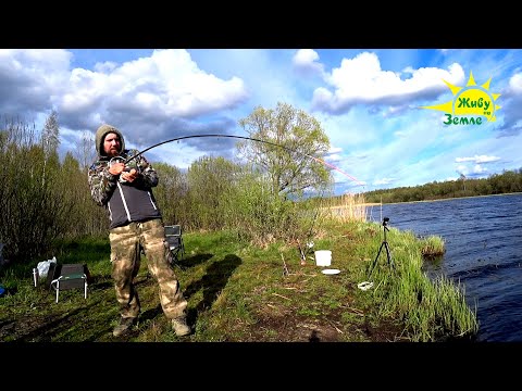 Видео: Рыбалка Весной. От Фидера к Донкам. Путь к Рыбе!