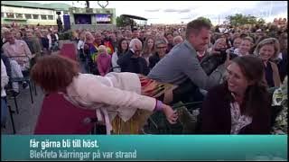 Maria Lundqvist som Sally - Allsång på Skansen 2019