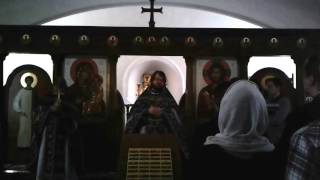 Протоиерей Николай Емельянов об отречении св. Николая II (проповедь ПСТГУ))