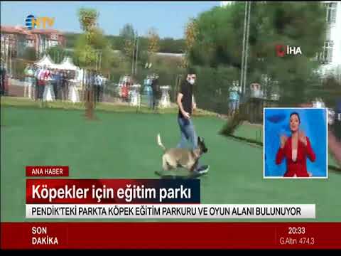 Neşeli Patiler Köpek Eğitim Parkı açıldı - 📺 NTV