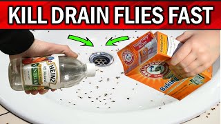 Ultimate Guide: Eliminate Drain Flies Fast in Under 2 Minutes by Natural Health Remedies 2,294 views 4 weeks ago 6 minutes, 57 seconds