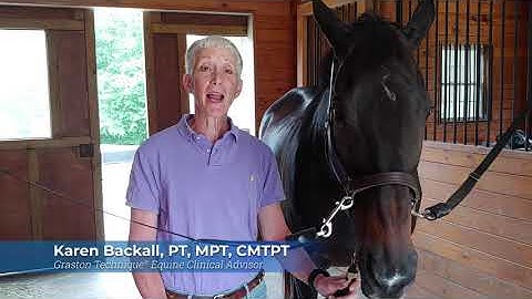 Graston Technique Equine Introduction with Karen Backall, PT, MPT, CMTPT
