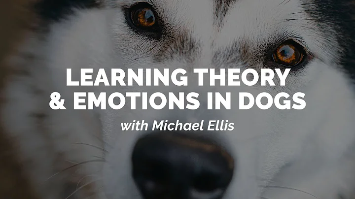 Michael Ellis on Learning Theory and Emotion in Dogs