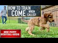 NEW PUPPY SURVIVAL GUIDE: Train Your Dog to “COME” No Matter What! (EP 5)