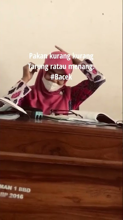 story wa adu ayam
