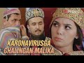 Akula - Karonavirusga chalingan malika