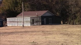 Visiting A Ready-Made Homestead For Sale