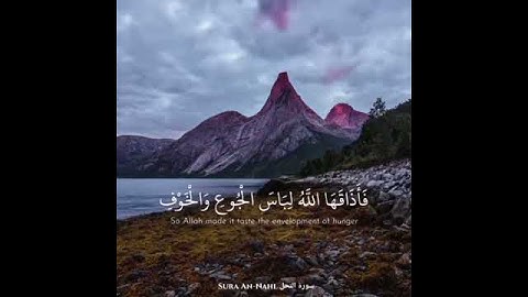 مُقتطفات من سورة النحل 🦋💞